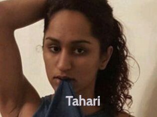 Tahari Live Cam 66