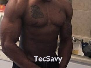 TecSavy