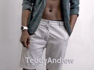 TeddyAndrew Live Cam 66