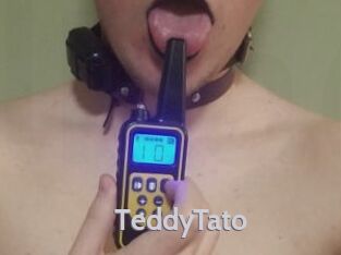 TeddyTato