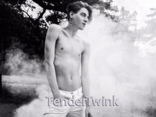 TenderTwink
