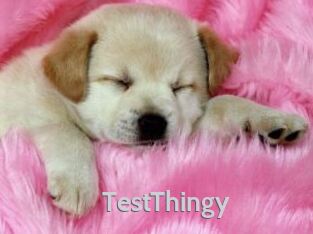 TestThingy