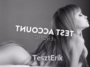 TesztErik