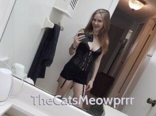 TheCatsMeowprrr