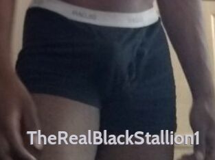 TheRealBlackStallion1