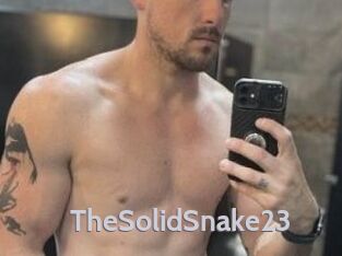 TheSolidSnake23