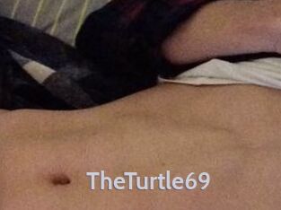 TheTurtle69