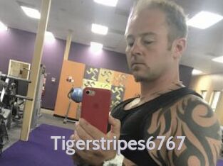 Tigerstripes6767