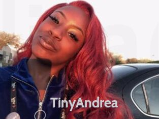 TinyAndrea