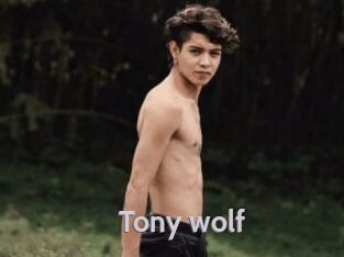 Tony_wolf