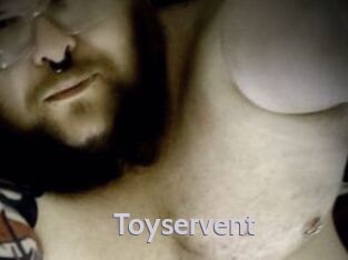Toyservent Live Cam 66