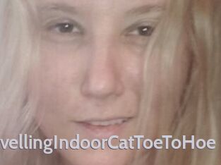 TravellingIndoorCatToeToHoe