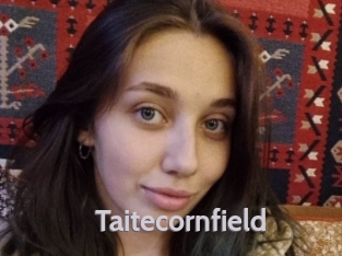 Taitecornfield