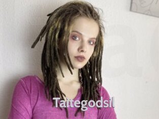 Taitegodsil