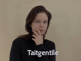 Taitgentile