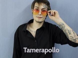Tamerapollo