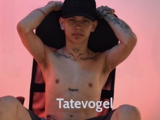 tatevogel Live Cam 66