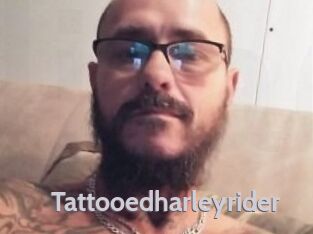tattooedharleyrider Live Cam 66