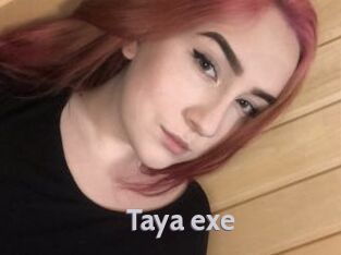 Taya_exe