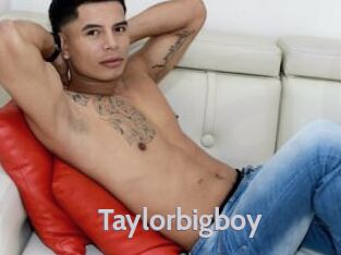 Taylorbigboy