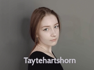 Taytehartshorn