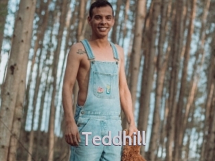 Teddhill