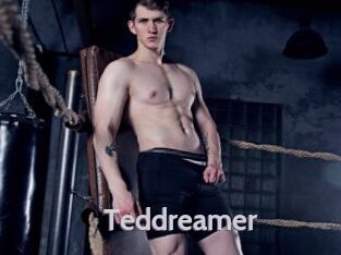 Teddreamer