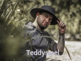 Teddysteel