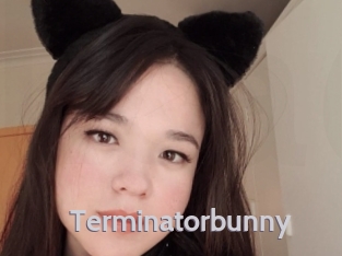 Terminatorbunny