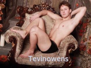 Tevinowens