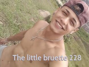 The_little_bruette_228