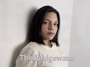 theabridgewater Live Cam 66