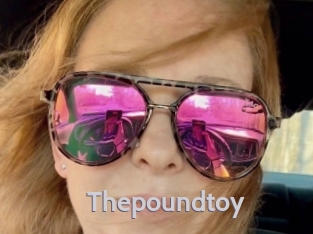 Thepoundtoy