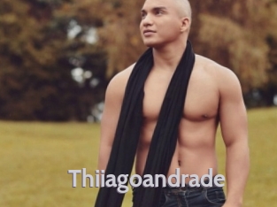 thiiagoandrade Live Cam 66