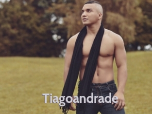tiagoandrade Live Cam 66