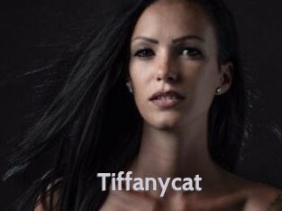 Tiffanycat