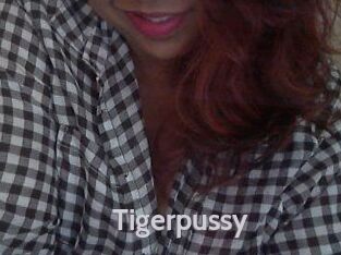 Tigerpussy
