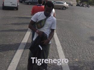 Tigrenegro