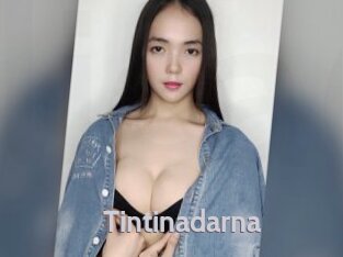 Tintinadarna