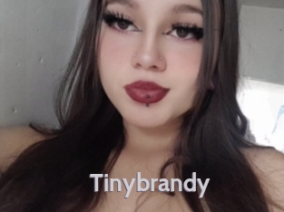 Tinybrandy