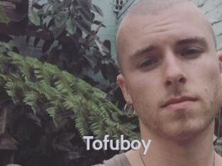 Tofu_boy