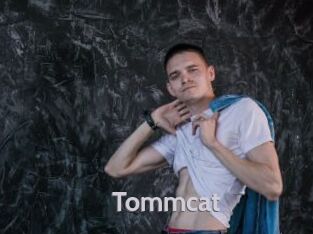 tommcat Live Cam 66