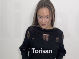 Torisan