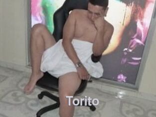 Torito