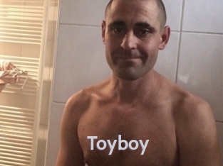 toyboy Live Cam 66