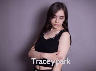 traceypark Live Cam 66