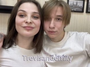 Trevisandemily