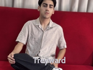 treyward Live Cam 66