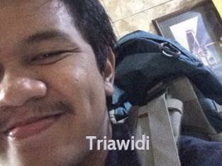 Triawidi