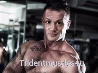 Tridentmuscles4u